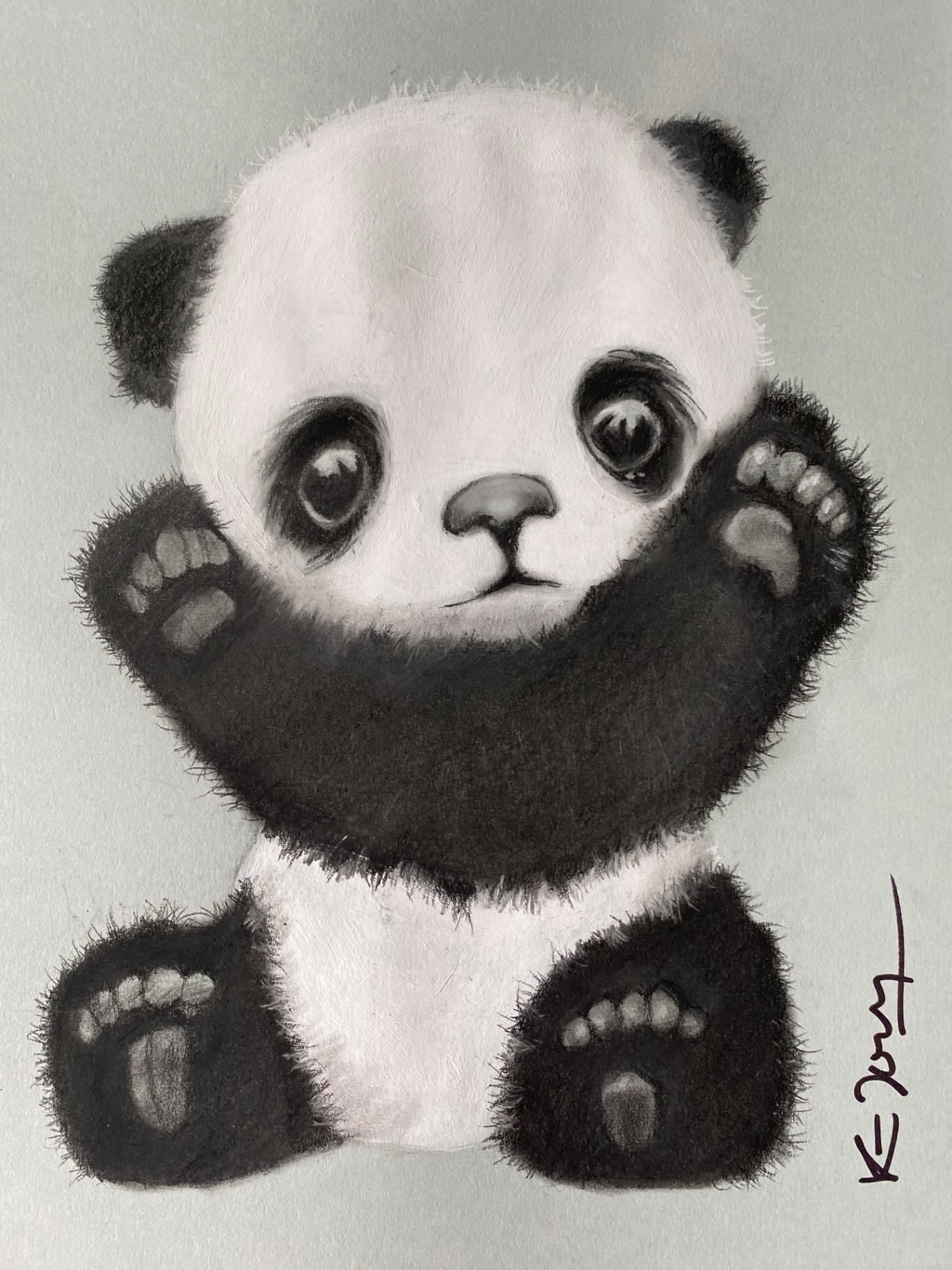 Panda — Fusain et craie blanche sur papier